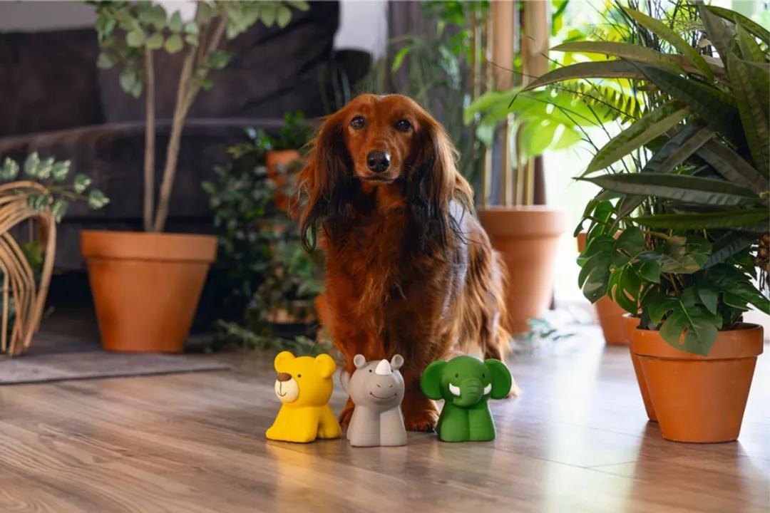 Beeztees Hondenspeelgoed Jungle Dier - S - Assorti
