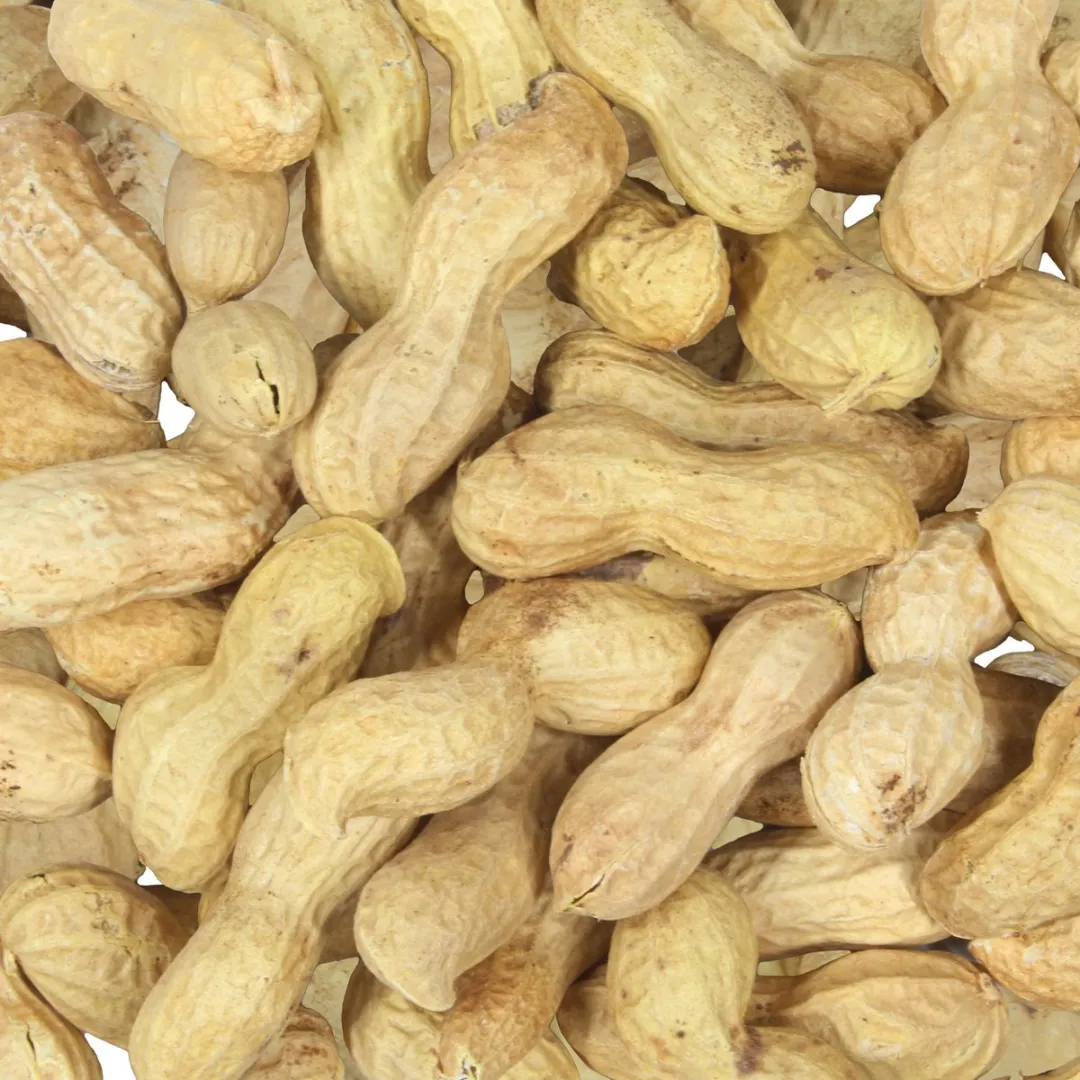 Topdiervoeding Ongepelde Pinda’s 5KG