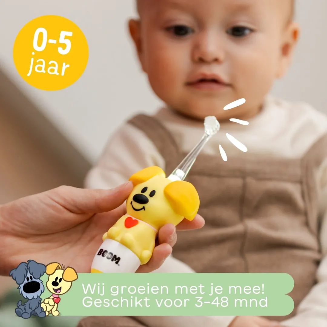 BOOMBRUSH Woezel & Pip Elektrische Tandenborstel - Pip - 3-48 maanden