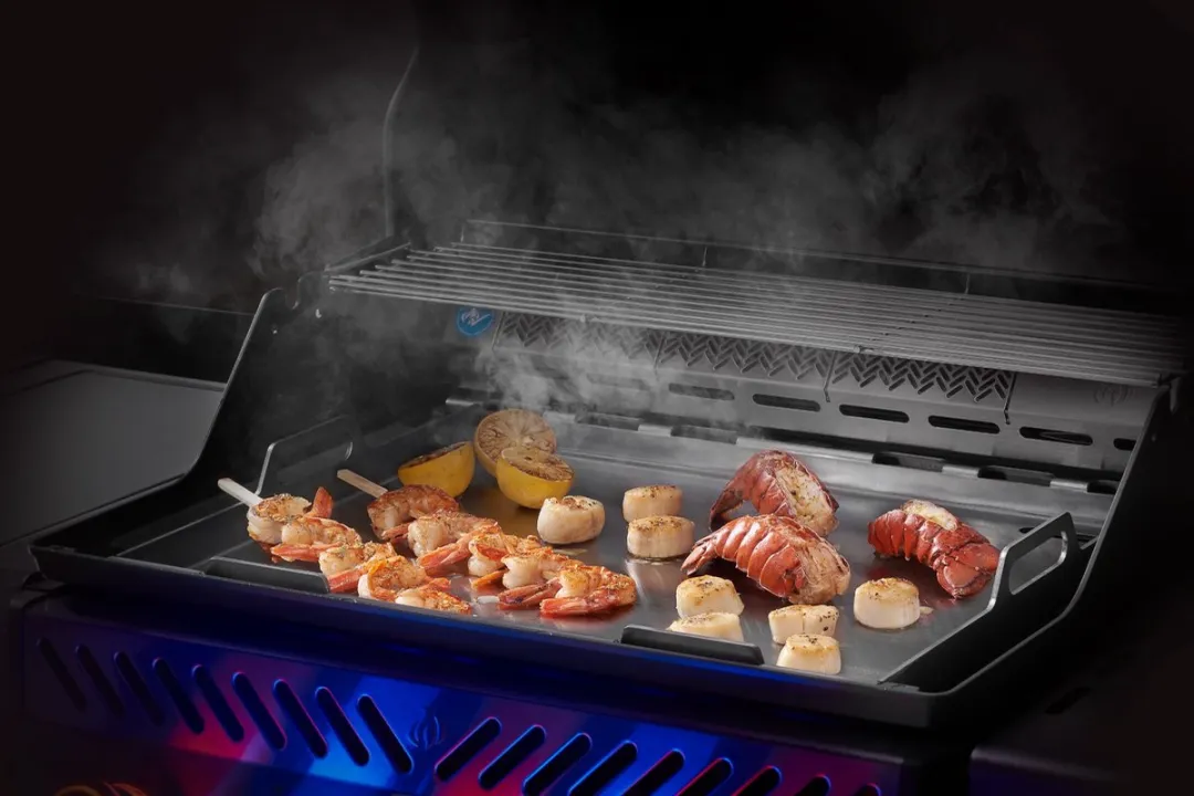 Napoleon Full Size RVS Plancha STKY-00049550 - Multi