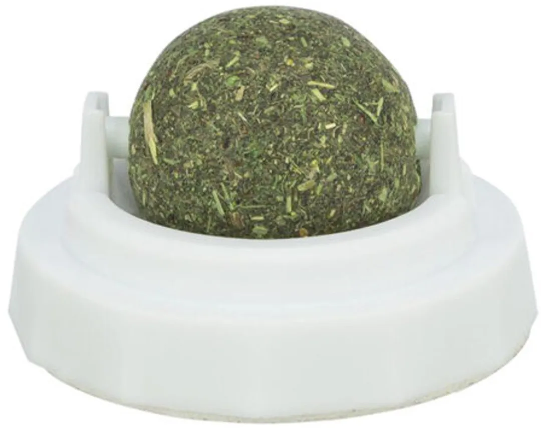 Trixie Catnip Bal Met Houder - Groen/Wit