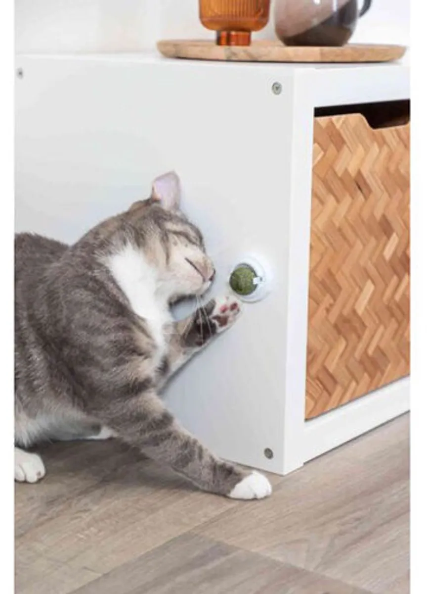 Trixie Catnip Bal Met Houder - Groen/Wit