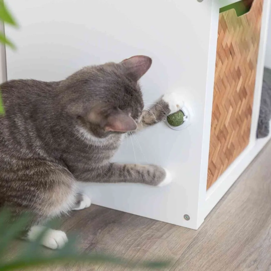 Trixie Catnip Bal Met Houder - Groen/Wit