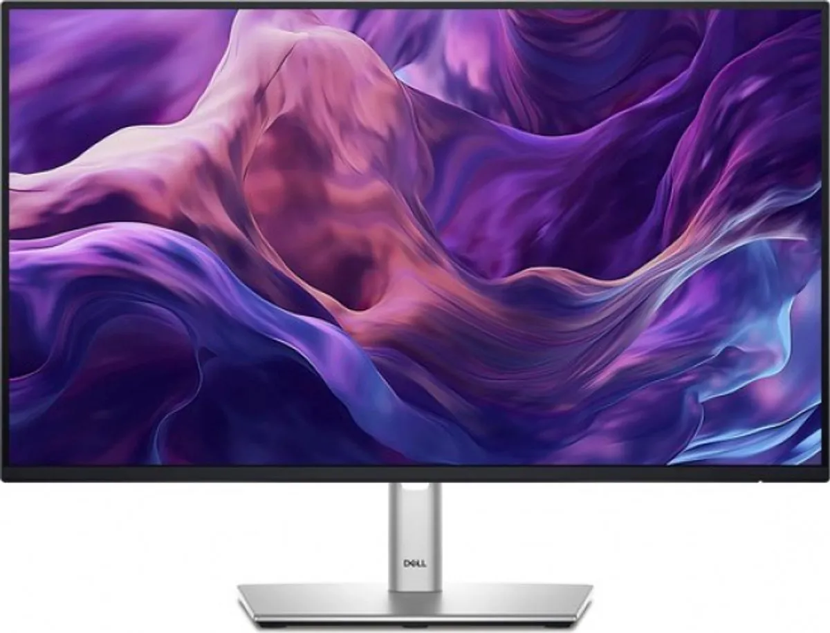 Dell P2425H Full HD Monitor 100Hz - 24 inch