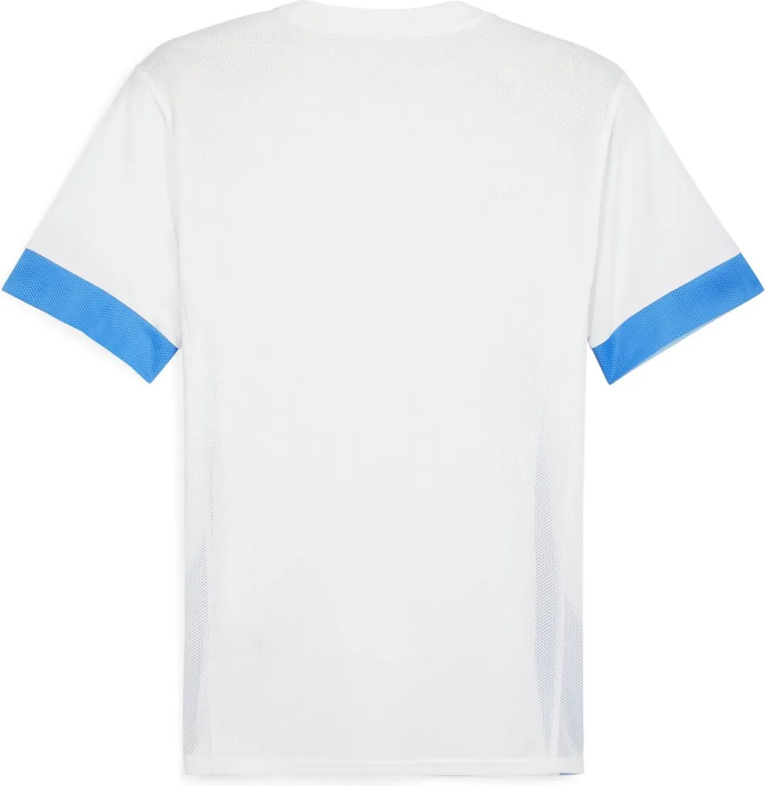 PUMA TeamGOAL Matchday Jersey Heren - Wit/Blauw