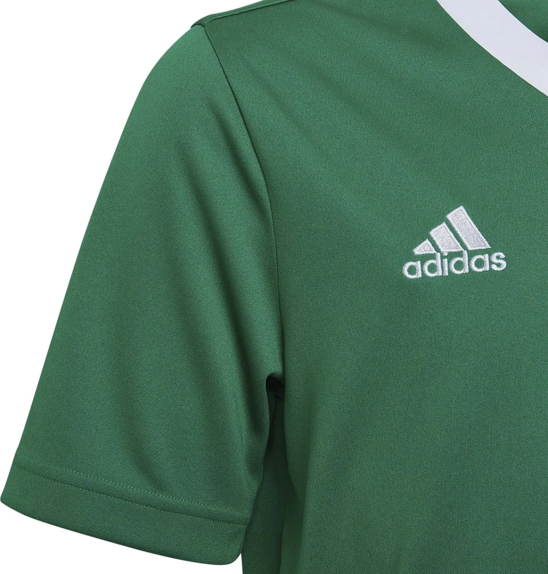 adidas Entrada 22 Jersey Youth HI2126 - 128 - Groen