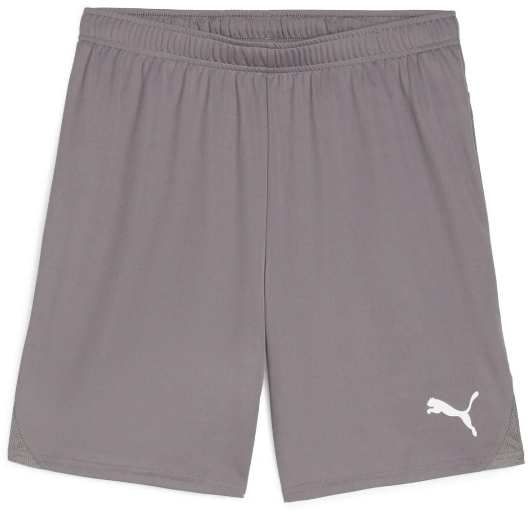 PUMA TeamGoal Voetbal - Cast Iron/Grijs