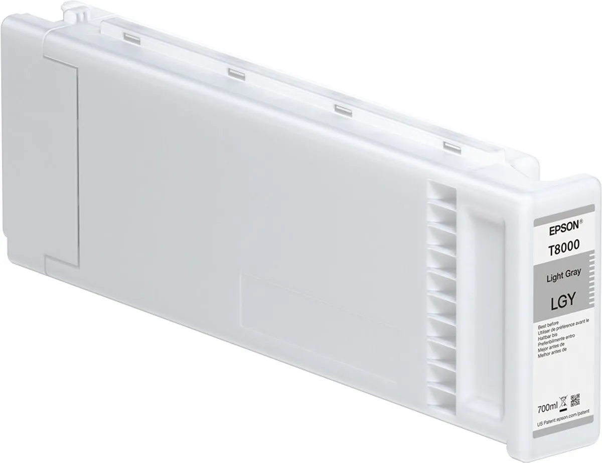 Epson C13T800000 Inktcartridge Grijs