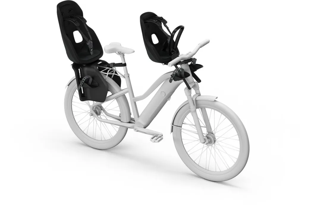 Thule Yepp Nexxt 2 Maxi Fietsstoeltje - Black