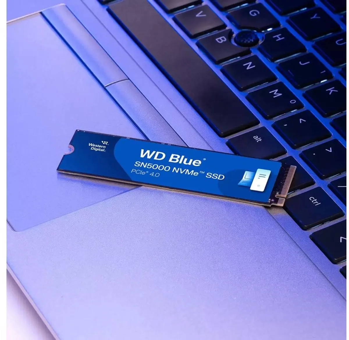 Western Digital Blue SN5000 WDS500G4B0E SSD - 500GB