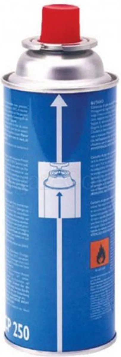 Campingaz CP-250 Gasfles 250g - Butaan - Meerkleurig