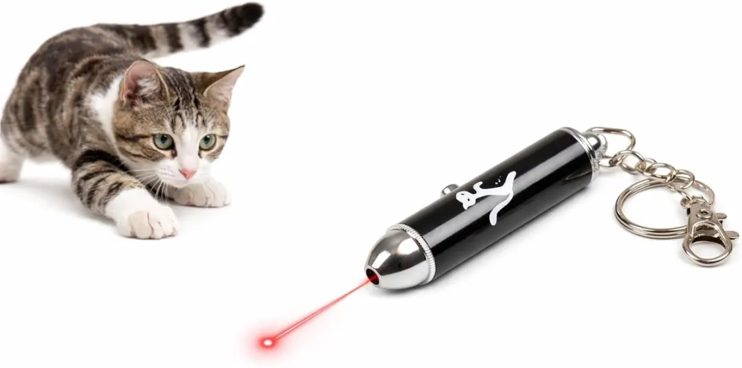 Flamingo Alva Zwart Laserpen voor Kat