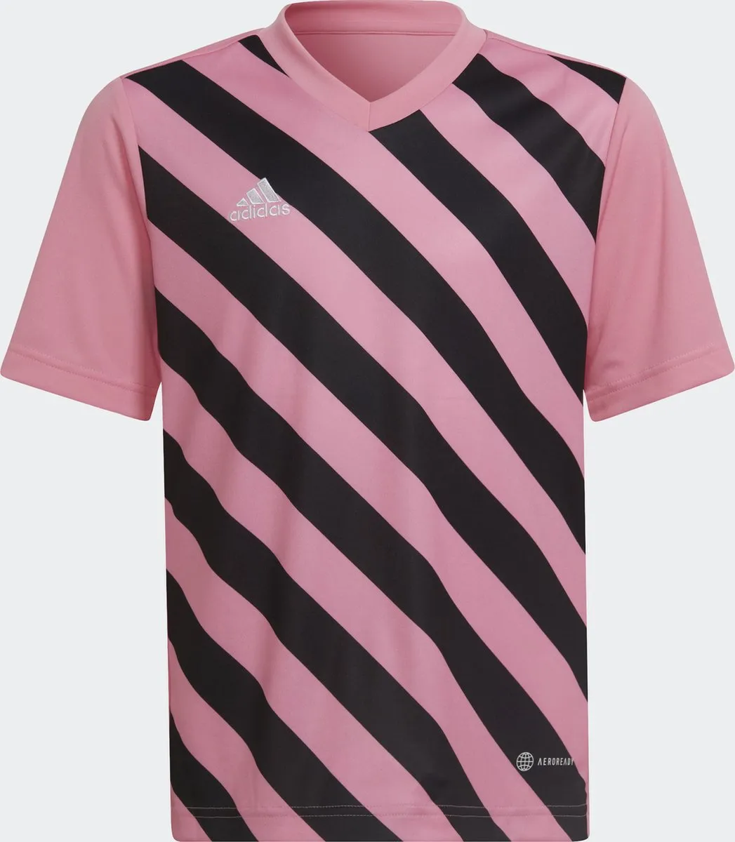 adidas Performance Entrada 22 Graphic Voetbalshirt 116 - Roze