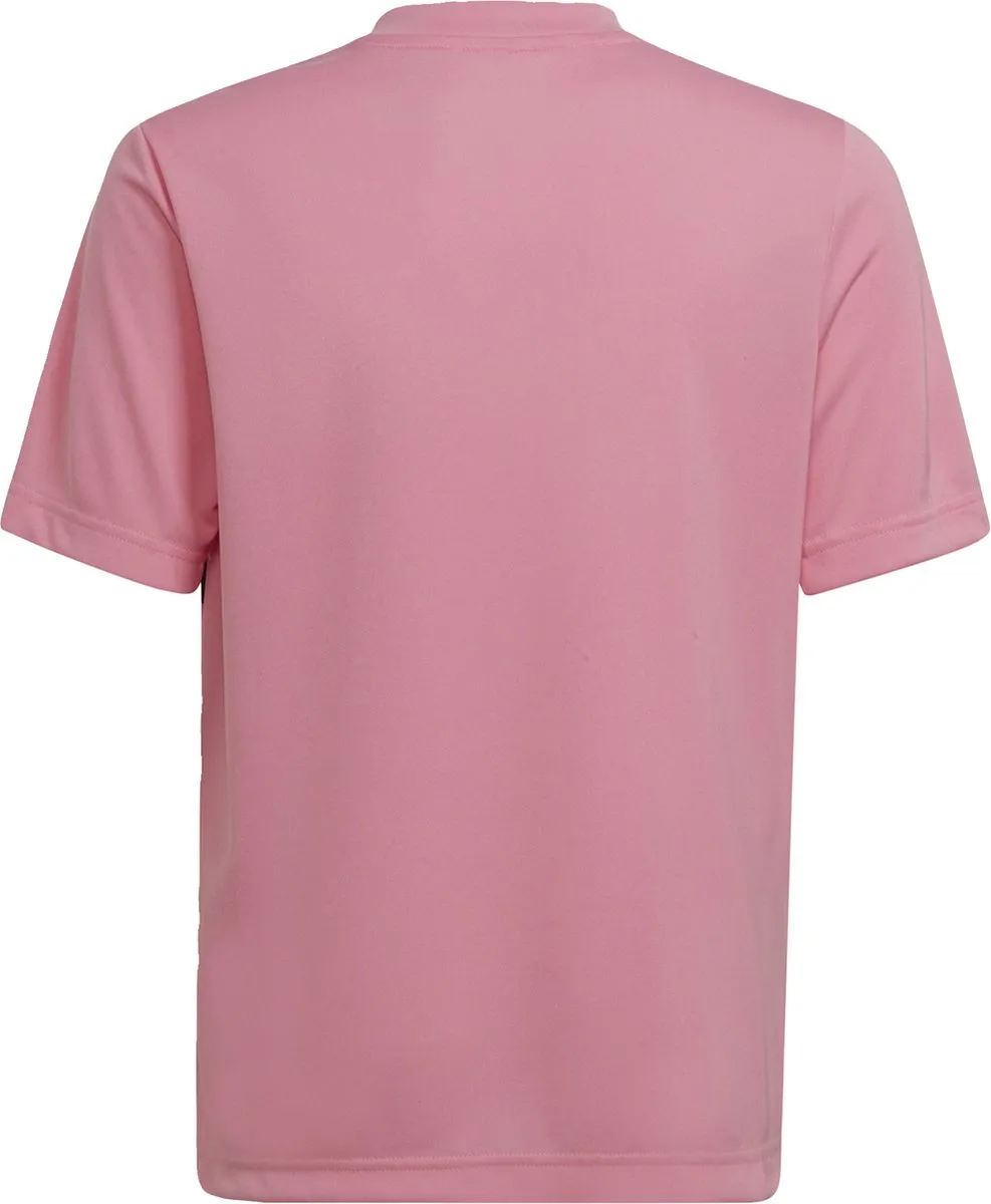 adidas Performance Entrada 22 Graphic Voetbalshirt 116 - Roze