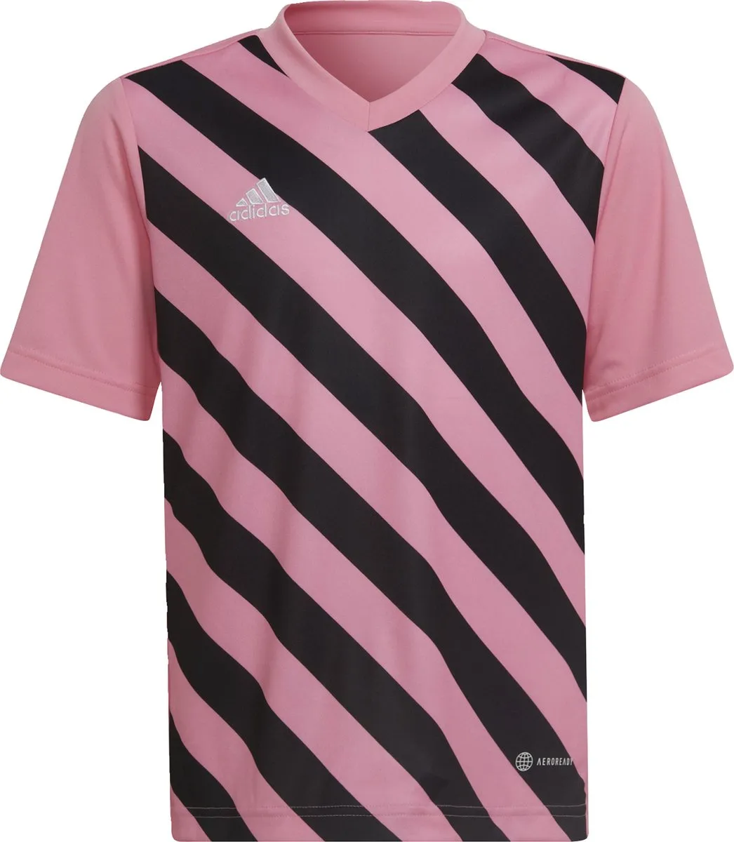 adidas Performance Entrada 22 Graphic Voetbalshirt 116 - Roze