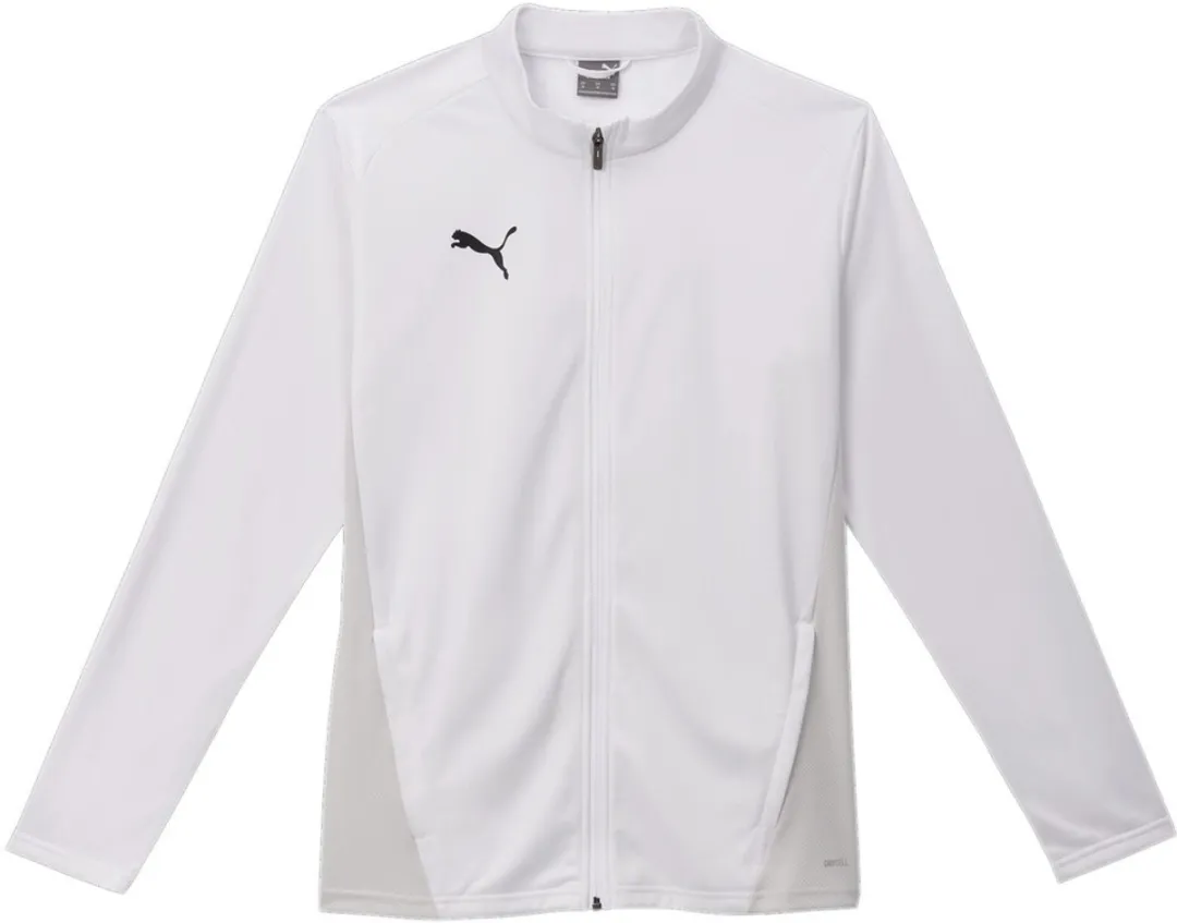 PUMA TeamGoal Training Jacket 658633