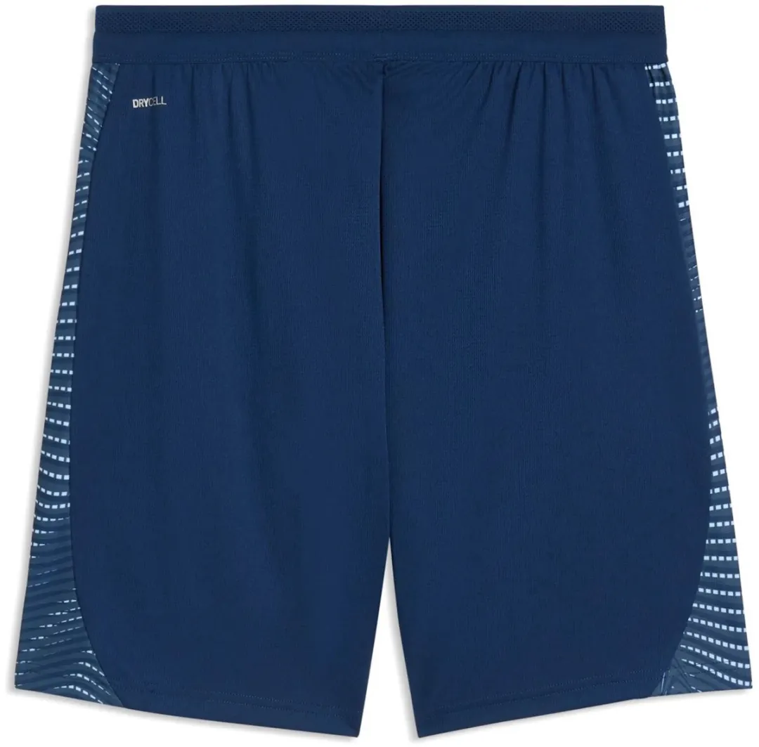 PUMA Individual Final Shorts 660428-02 - M - Blauw
