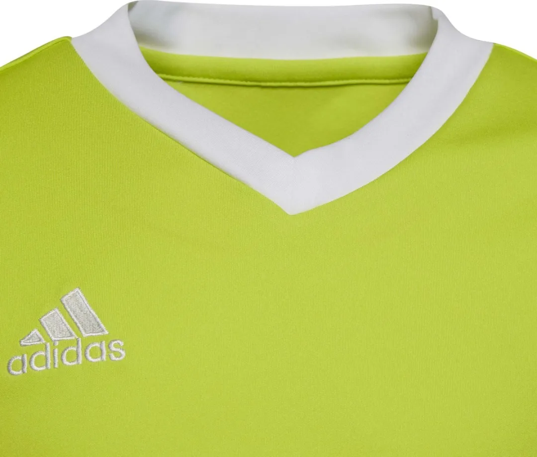 adidas Entrada 22 Jersey Youth Voetbalshirt 164 - Groen