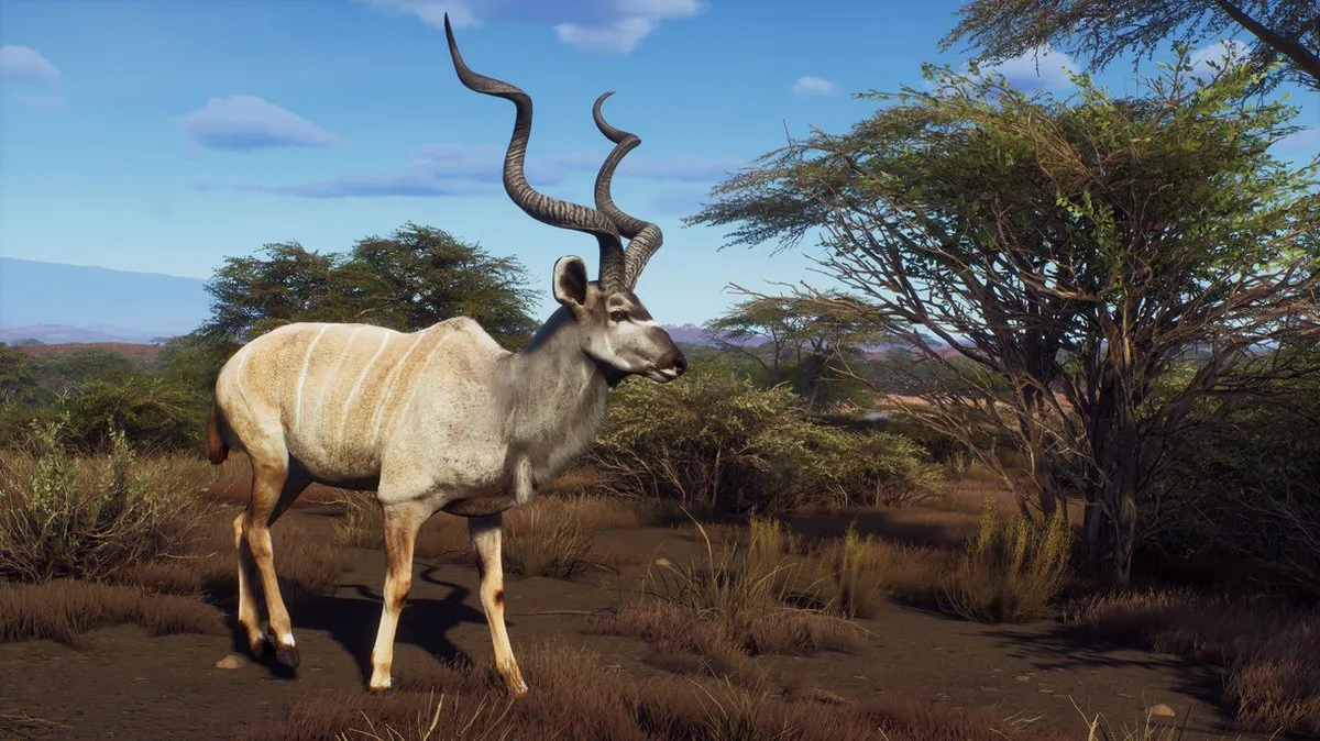 THQ Nordic Way of the Hunter Wild Expeditions PS5