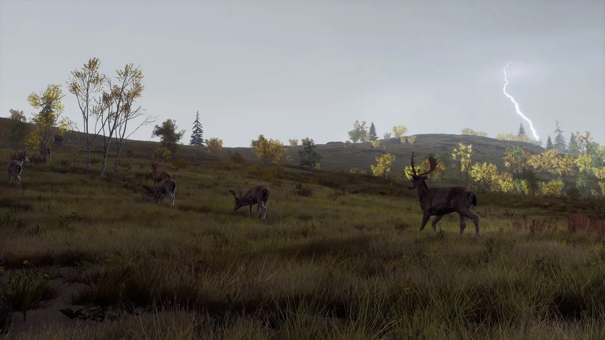 THQ Nordic Way of the Hunter Wild Expeditions PS5