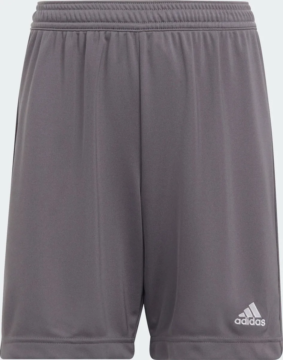 adidas Performance Entrada 22 Short 152 - Grijs