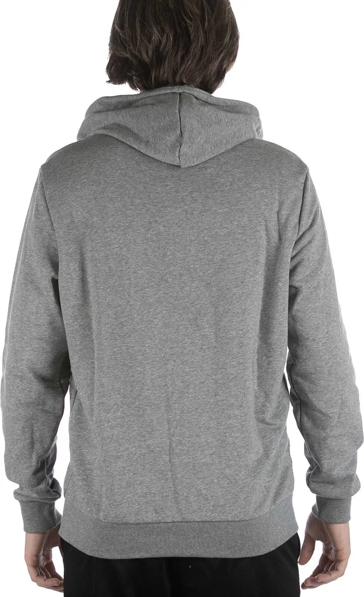 PUMA Teamgoal 23 Casuals Hooded Jacket - Grijs
