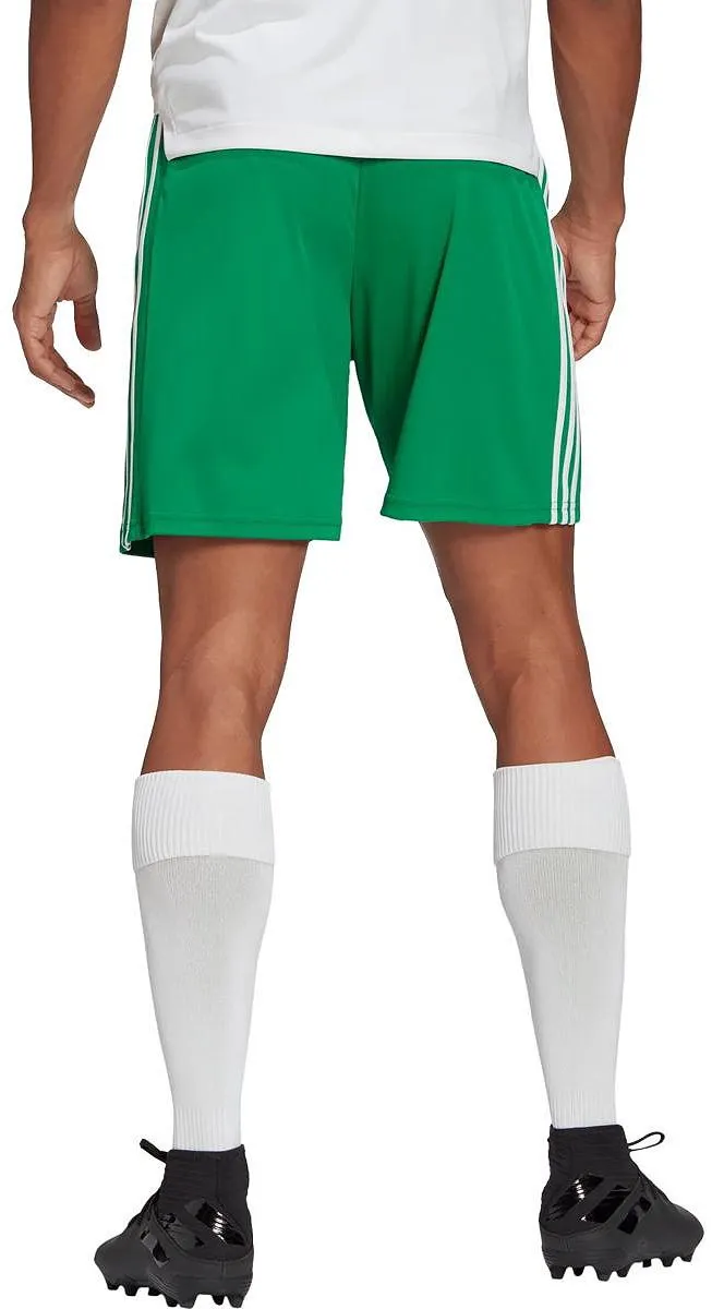 adidas Squadra 21 Short Heren GN5769 - S - Groen/Wit