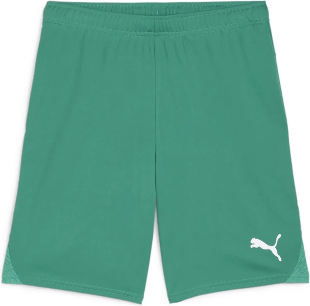 PUMA Teamgoal Short Heren