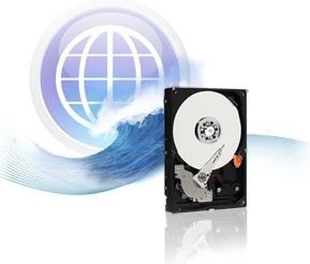 Western Digital WD5000AAKS Interne Harde Schijf 500GB