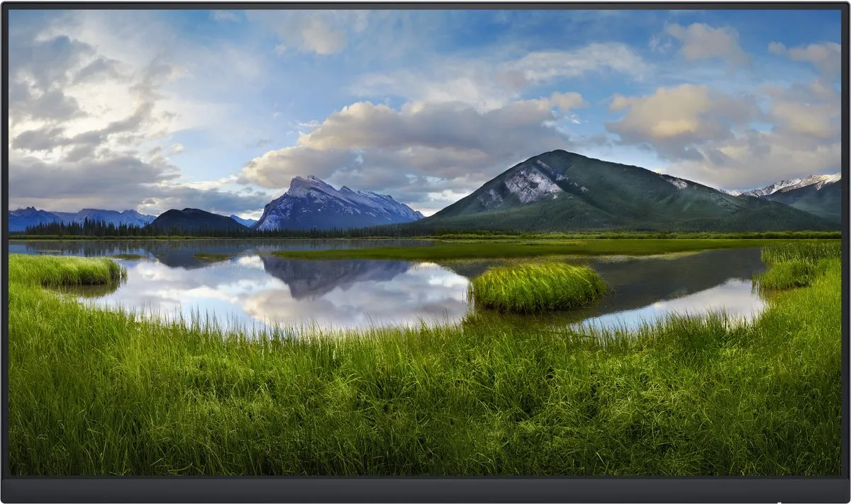 Dell P2422HE Monitor 23,8" IPS