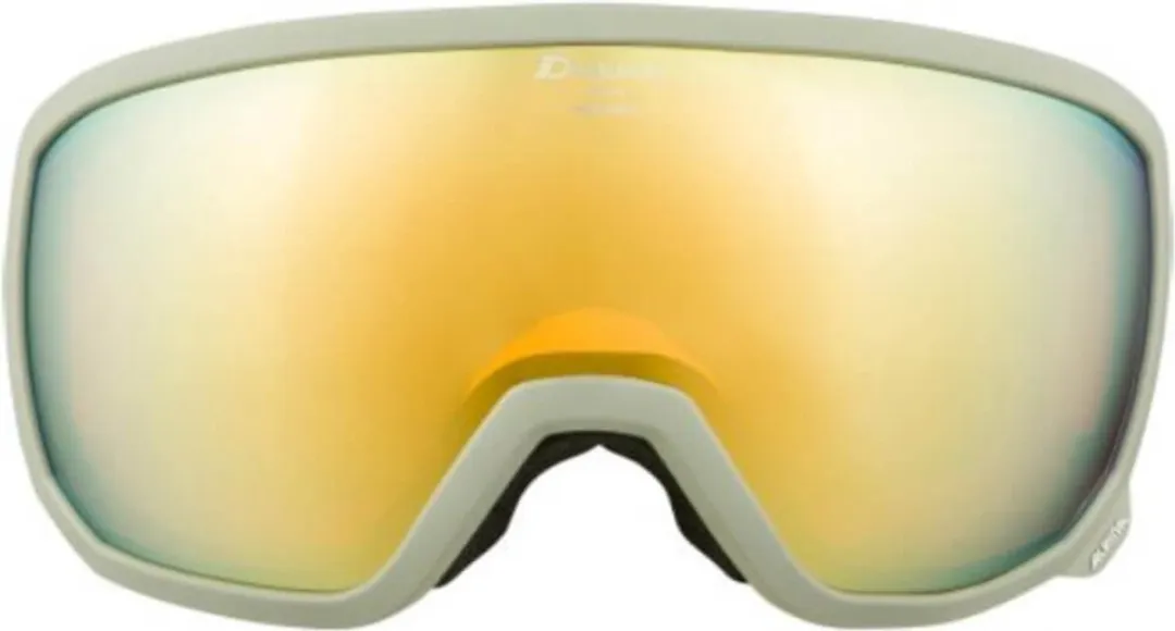 Alpina Scarabeo Q-Lite OTG Skibril - Grijs