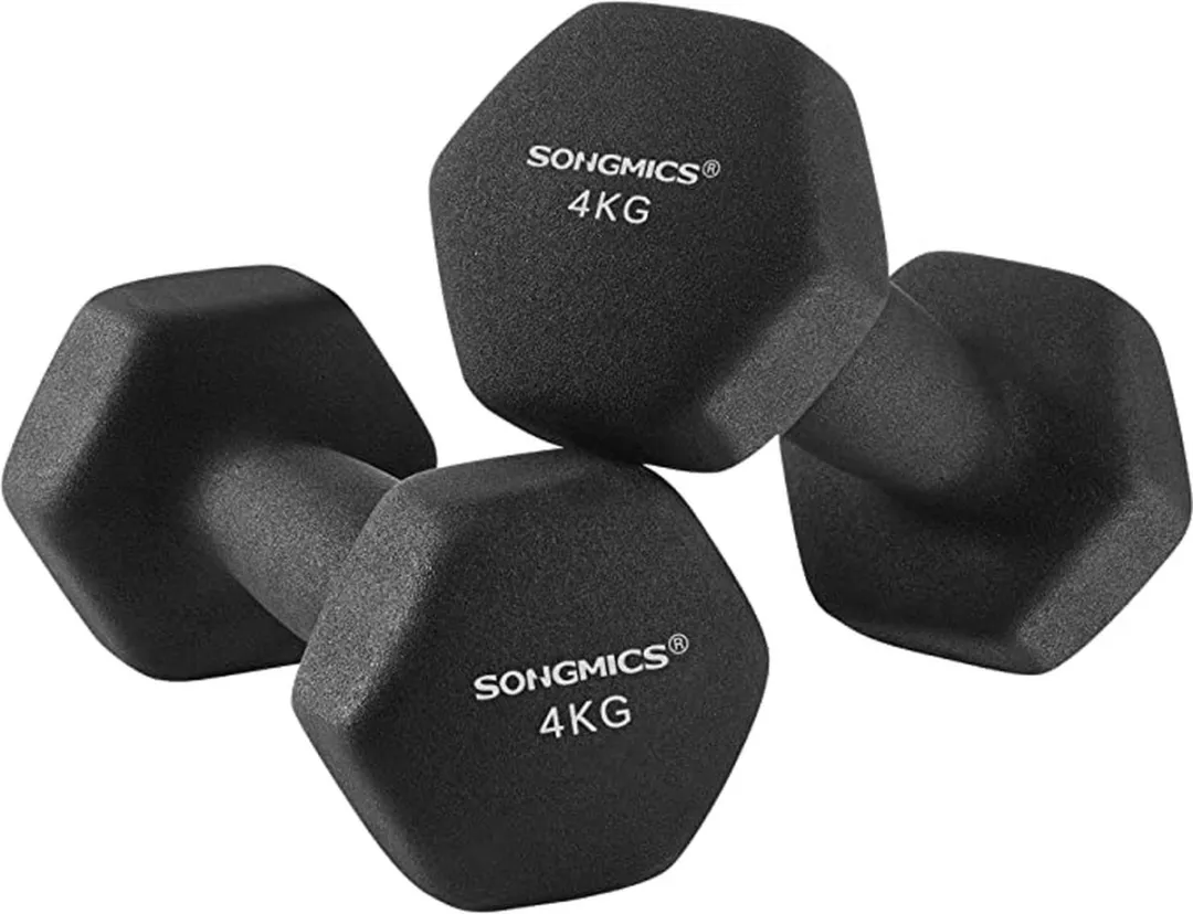 Songmics Dumbbells 2x4kg