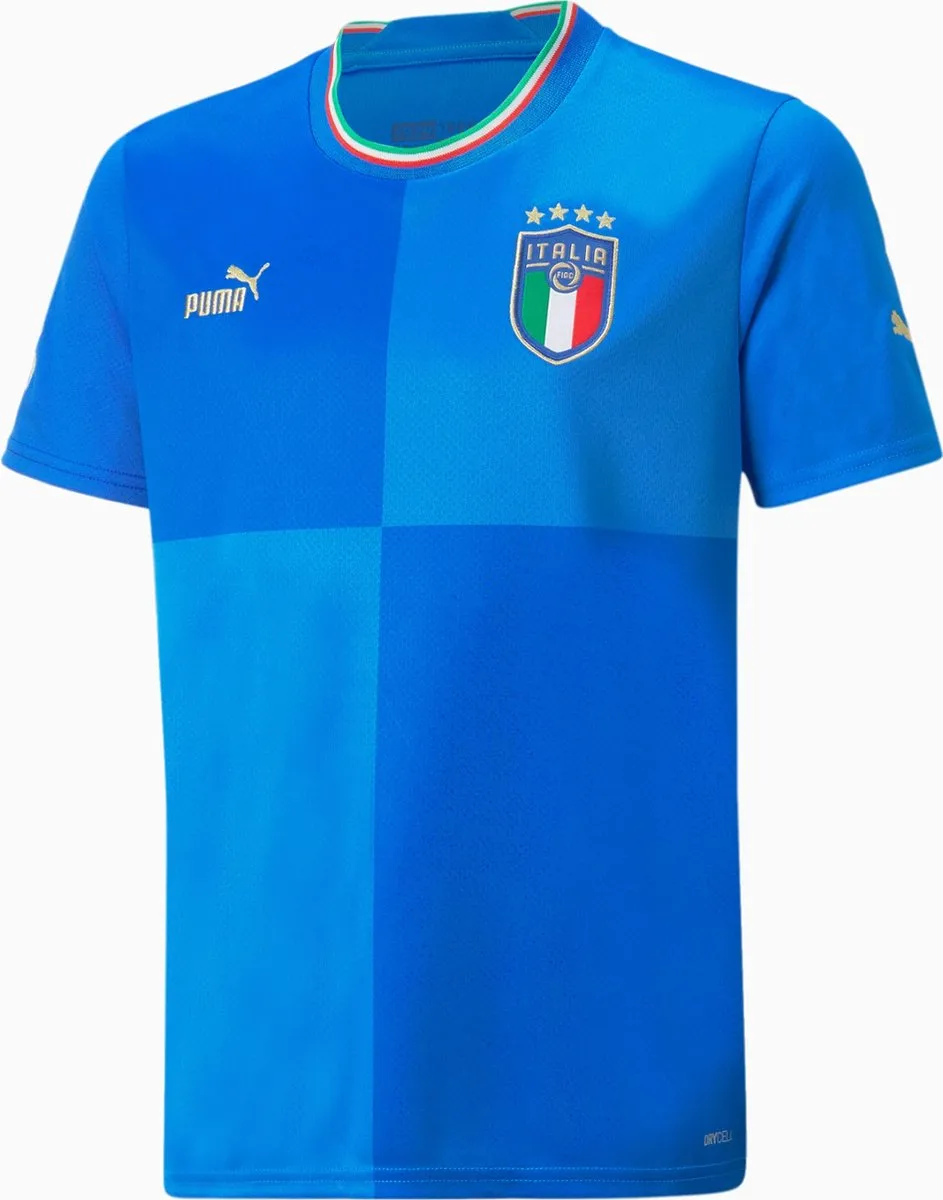 PUMA FIGC It Sportshirt Mannen