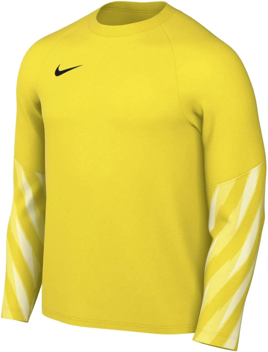 Nike Dri-FIT Park V Keepersshirt Heren