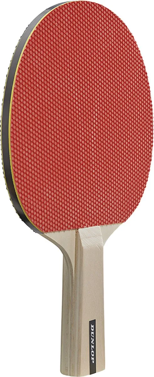 Dunlop Match 4 Player Set - Tafeltennis - 4 Batjes, Net & 6 Ballen