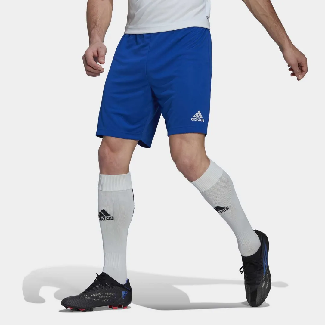 adidas Entrada 22 Sportbroek Short - XL - Blauw/Wit