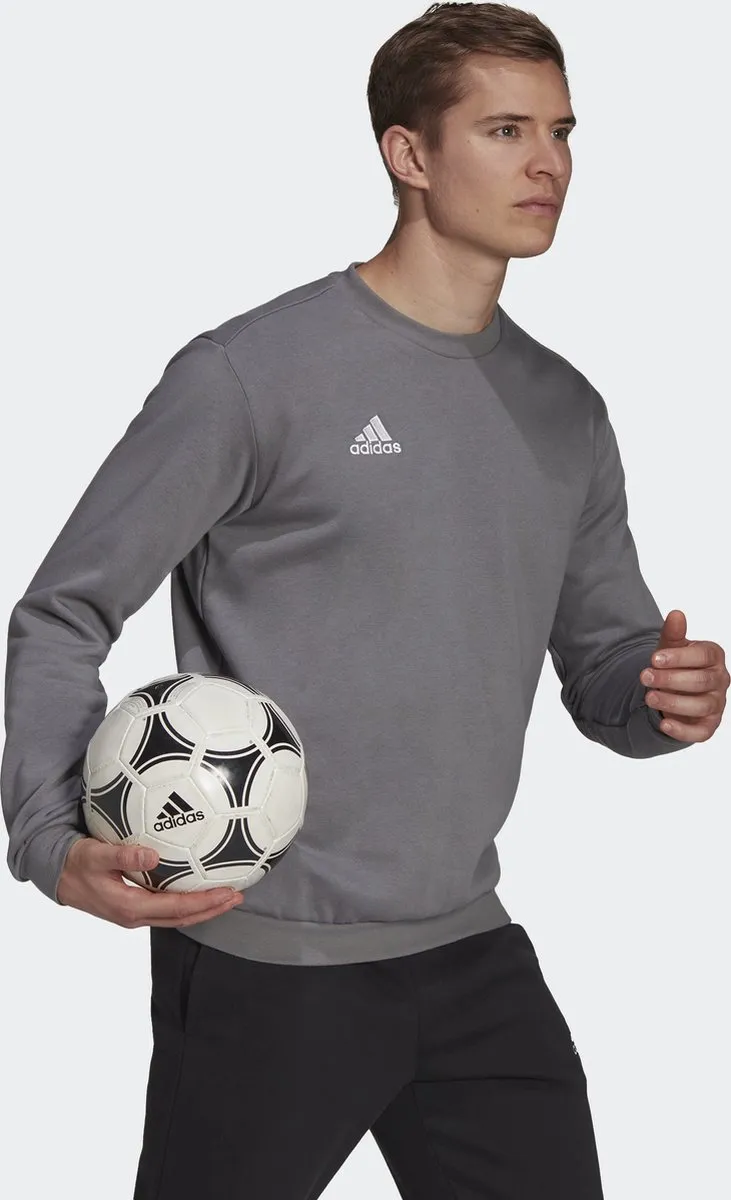 adidas Performance Entrada 22 Sweatshirt M - Grijs