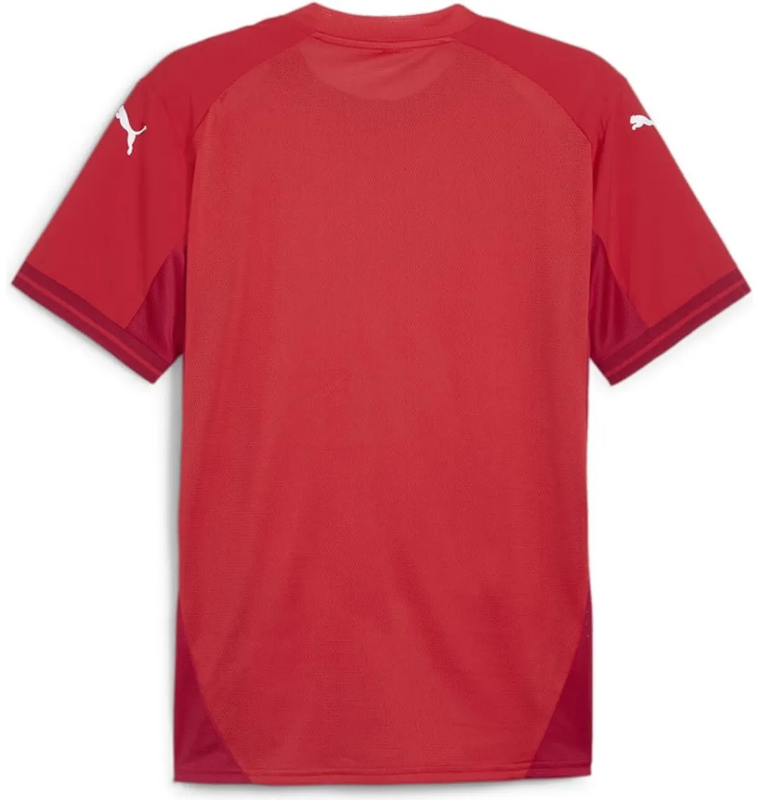 PUMA Teamfinal Shirt Heren - Rood - Maat L