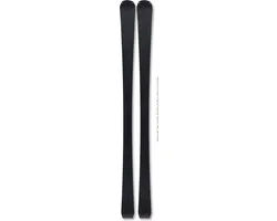 Fischer The Curv DTI AR+ RS 11 Heren Ski