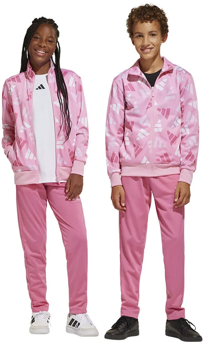 Adidas Seasonal Essentials Logo Celebration Trainingspak 170 - Roze