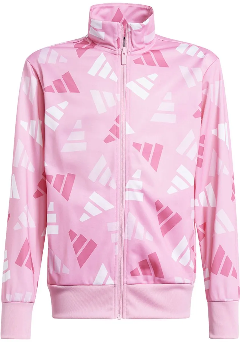 Adidas Seasonal Essentials Logo Celebration Trainingspak 170 - Roze