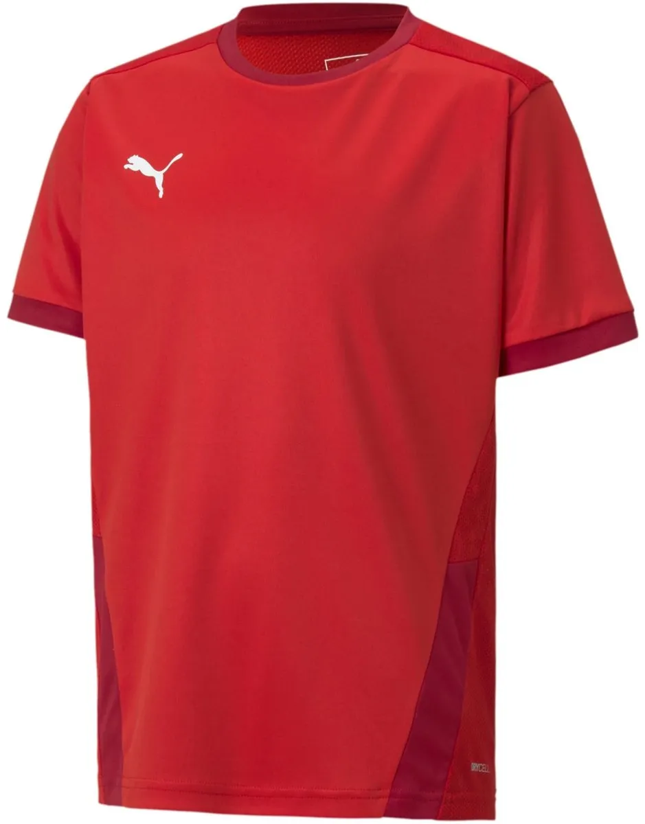 PUMA Teamgoal 23 T-shirt