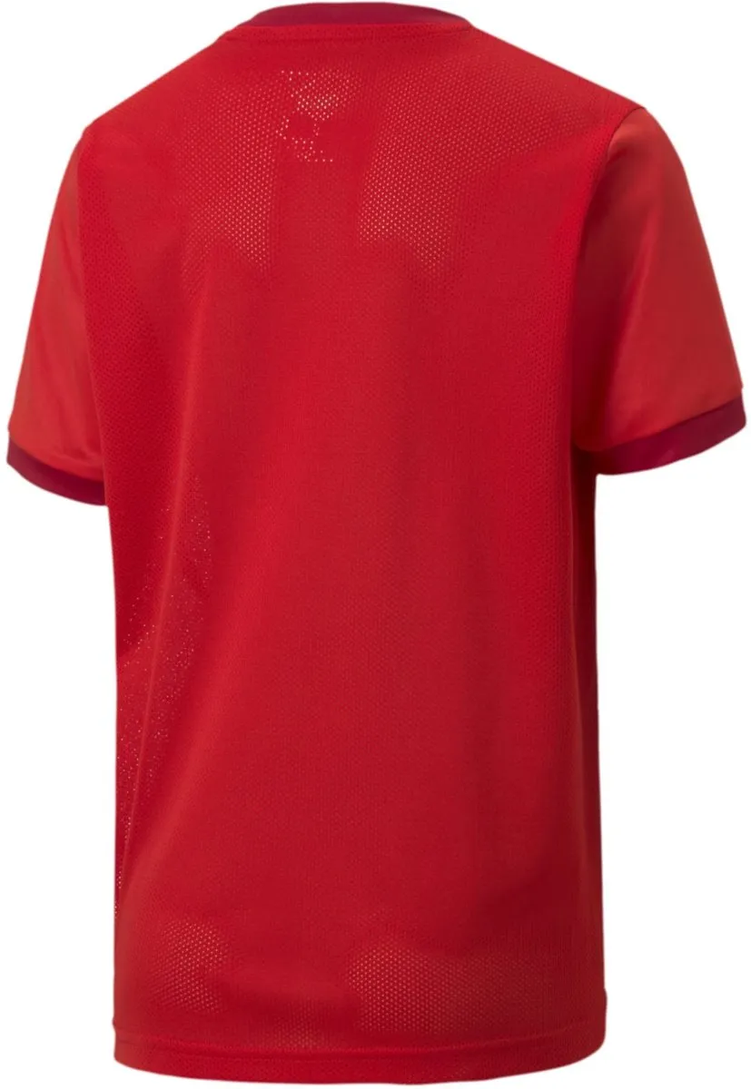 PUMA Teamgoal 23 T-shirt - Rood - Maat 176