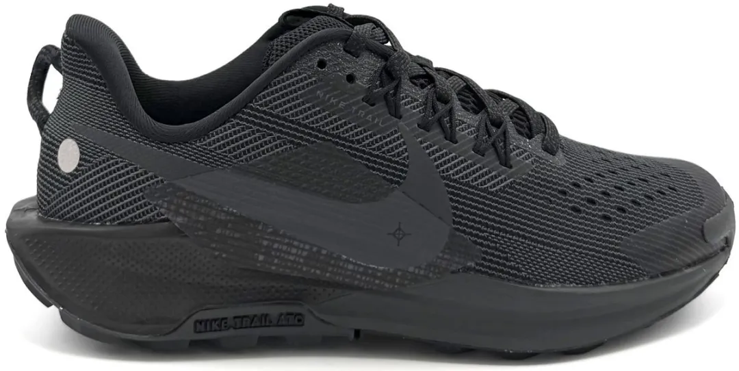 Nike Pegasus Trail 5 Trailhardloopschoenen DV0627-001