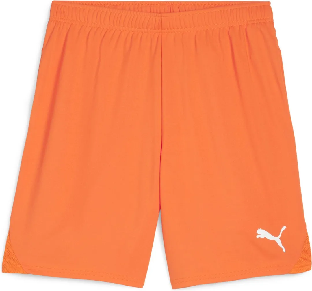 PUMA teamGOAL Shorts Heren Trainingsbroek XL