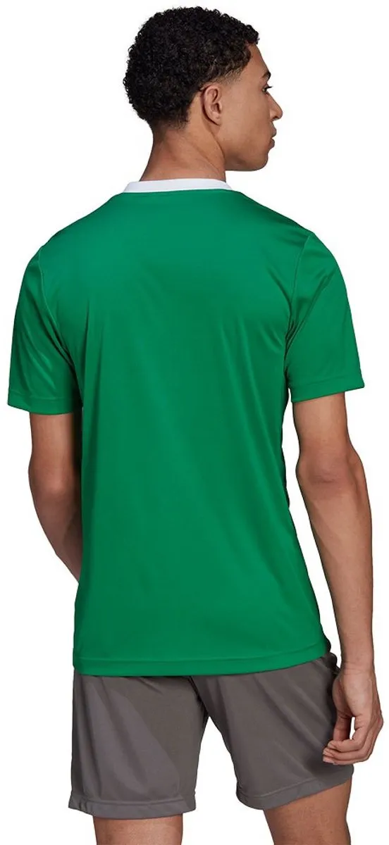 adidas Performance Entrada 22 Voetbalshirt HI2123 - 2XL - Groen