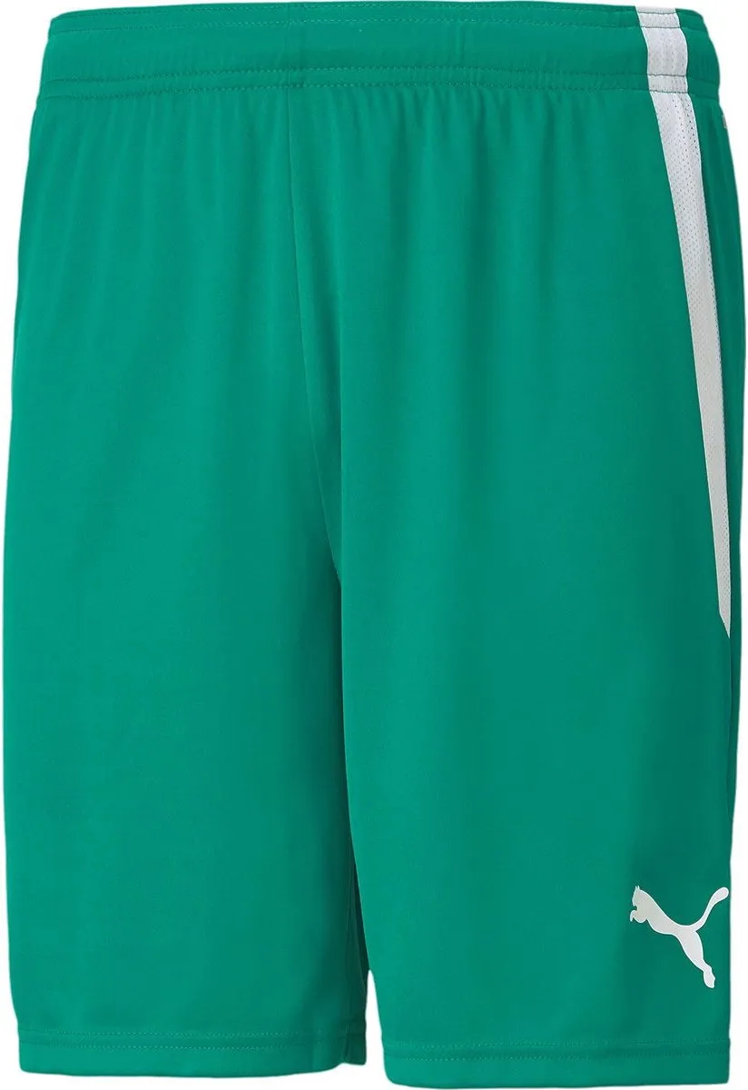 PUMA TeamLIGA Short Junior 140 - Groen