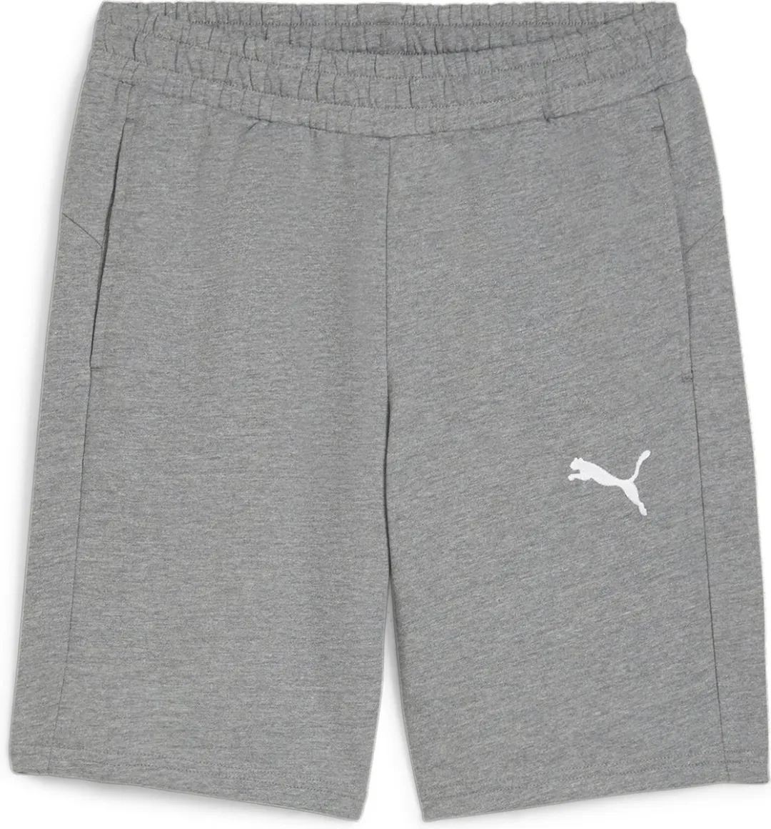 PUMA TeamGOAL Shorts-trainingsbroek 658608