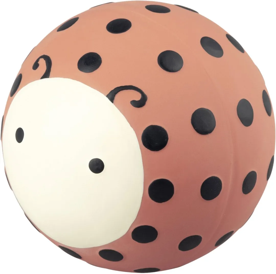 Sebra Ladybird Badbal