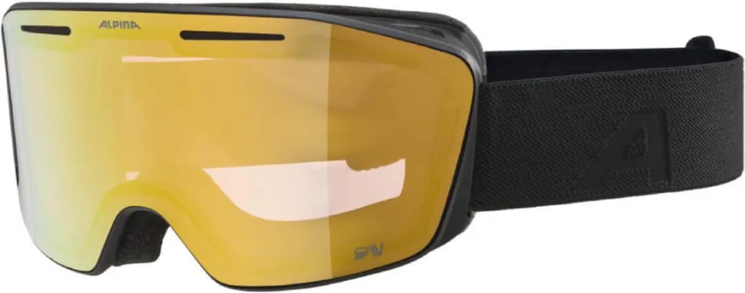 Alpina Nendaz QV Photochromic OTG Skibril